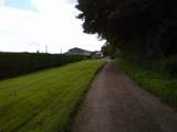 DSC00045