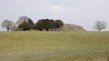 DSC00288