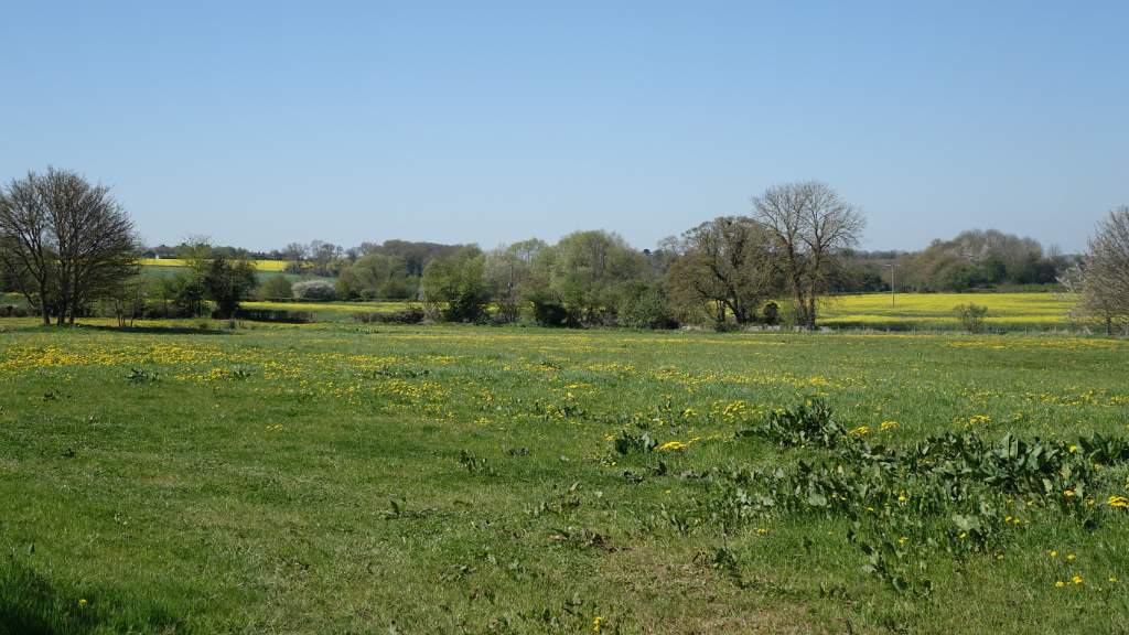 DSC00321