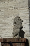 DSC00313