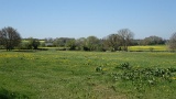 DSC00321