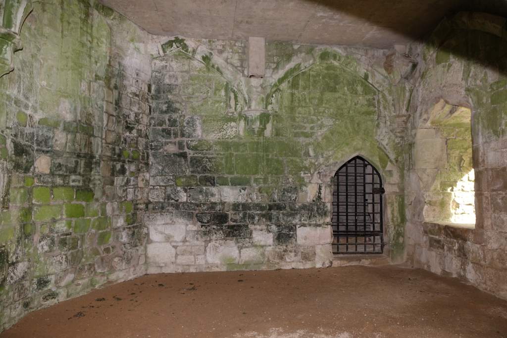 DSC00234