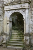 DSC00229