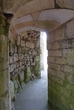 DSC00241