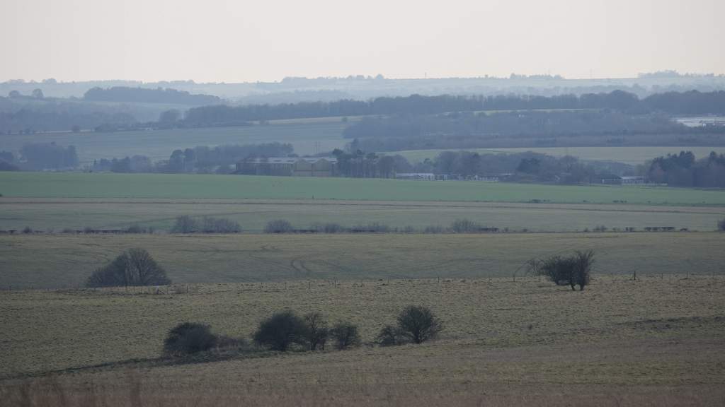 DSC00229
