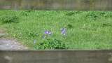 DSC00063