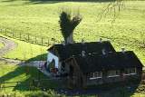 DSC00012