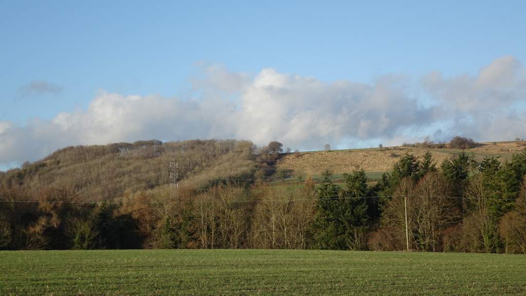 DSC00048
