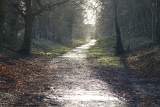 2013-12-26 - Quakers Walk, Devizes